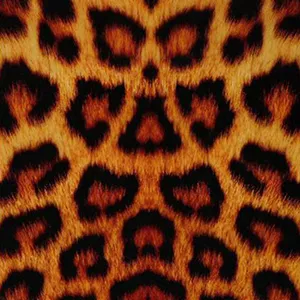 Animalnew