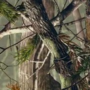 Camosmall